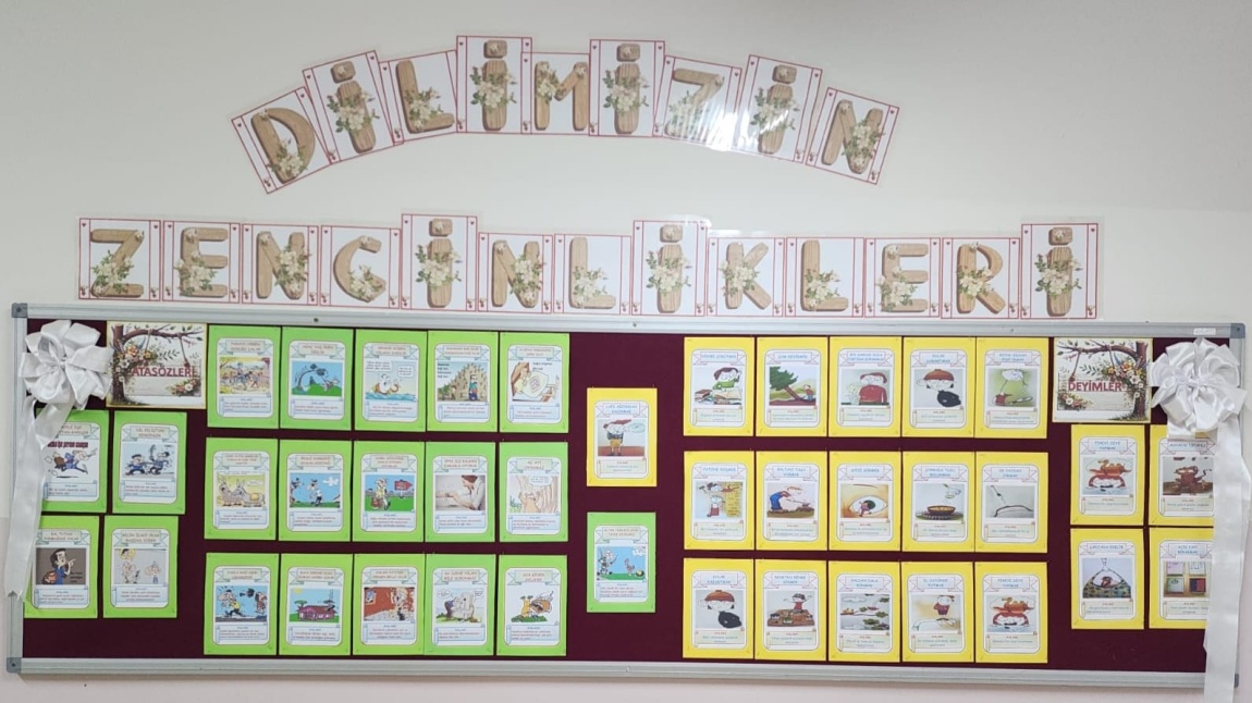 DİLİMİZİN ZENGİNLİKLERİ ŞUBAT AYI PANOMUZ